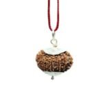 15 Mukhi Rudraksha