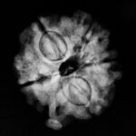 Ganesha Rudraksha 18.10 Mm X-Ray