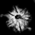 Ganesha Rudraksha 22.10] Mm X-Ray