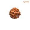 7 Mukhi Nepal Rudraksha ( 19.84 Mm) 14 7 Mukhi Nepal Rudraksha ( 19.84 Mm)