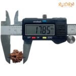 7 Mukhi Nepal Rudraksha ( 17.85 Mm) 8 7-Mukhi-Nepal-Rudraksha-17.85-Mm-Op-C.jpg