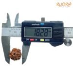 7-Mukhi-Nepal-Rudraksha-18.28-Mm-Op-C.jpg