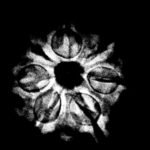 7 Mukhi Nepal Rudraksha (18.60 Mm) X-Ray