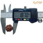 7 Mukhi Nepal Rudraksha ( 18.70 Mm) 8 7-Mukhi-Nepal-Rudraksha-18.70-Mm-Op-C.jpg