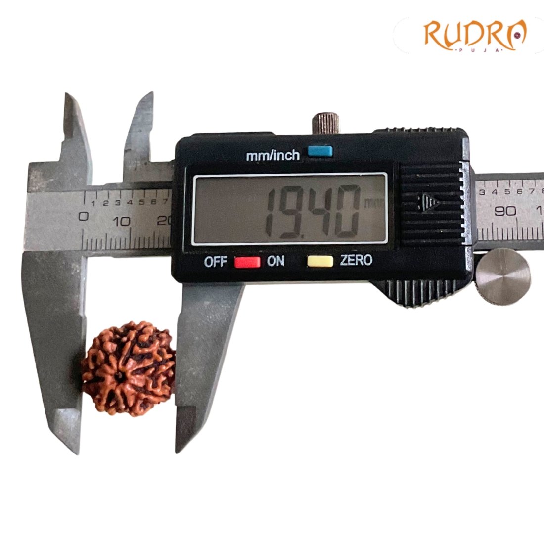 7 Mukhi Nepal Rudraksha (19.40 Mm) 4 7-Mukhi-Nepal-Rudraksha-19.40-Mm-Op-C.jpg