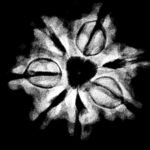 7 Mukhi Nepal Rudraksha ( 19.70 Mm) 9 7 Mukhi Nepal Rudraksha (19.70 Mm) X-Ray