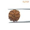 7 Mukhi Nepal Rudraksha (20.00 Mm) 13 7 Mukhi Nepal Rudraksha (20.00 Mm)