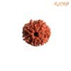 7 Mukhi Nepal Rudraksha (20.05Mm) 13 7-Mukhi-Nepal-Rudraksha-20.05Mm-Fpc.jpg