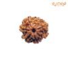 7 Mukhi Nepal Rudraksha (20.15 Mm) 13 7-Mukhi-Nepal-Rudraksha-20.15-Mm-Fp-C.jpg