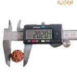 7 Mukhi Nepal Rudraksha ( 20.20 Mm) 8 7 Mukhi Nepal Rudraksha ( 20.20 Mm)