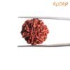 7 Mukhi Nepal Rudraksha ( 20.25 Mm) 13 7-Mukhi-Nepal-Rudraksha-20.25-Mm-Fp-C.jpg