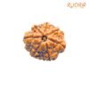 7 Mukhi Nepal Rudraksha (20.32 Mm) 13 7-Mukhi-Nepal-Rudraksha-20.32-Mm-Fp-C.jpg