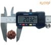 7 Mukhi Nepal Rudraksha (20.32 Mm) 15 7-Mukhi-Nepal-Rudraksha-20.32-Mm-Op-C-1.Jpg