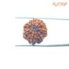7 Mukhi Nepal Rudraksha (20.52 Mm) 14 7-Mukhi-Nepal-Rudraksha-20.52-Mm-Bp-C.jpg