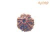 7 Mukhi Nepal Rudraksha (20.52 Mm) 13 7-Mukhi-Nepal-Rudraksha-20.52-Mm-Fp-C.jpg