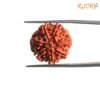 7 Mukhi Nepal Rudraksha (20.62 Mm) 14 7-Mukhi-Nepal-Rudraksha-20.62-Mm-Bp-C.jpg