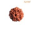 7 Mukhi Nepal Rudraksha (20.62 Mm) 13 7-Mukhi-Nepal-Rudraksha-20.62-Mm-Fp-C.jpg