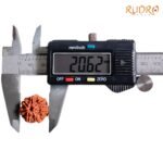 7-Mukhi-Nepal-Rudraksha-20.62-Mm-Op-C.jpg