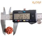 7 Mukhi Nepal Rudraksha (20.75 Mm) 8 7-Mukhi-Nepal-Rudraksha-20.75-Mm-Bp-C-2.Jpg
