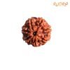7 Mukhi Nepal Rudraksha (20.80 Mm) 13 7-Mukhi-Nepal-Rudraksha-20.80-Mm-Fp-C.jpg