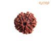 7 Mukhi Nepal Rudraksha (21.25 Mm) 14 7-Mukhi-Nepal-Rudraksha-21.25-Mm-Fp-C.jpg
