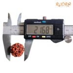 7-Mukhi-Nepal-Rudraksha-21.68-Mm-Op-C.jpg
