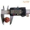 7 Mukhi Nepal Rudraksha (22.00 Mm) 15 7-Mukhi-Nepal-Rudraksha-22.00-Mm-Lp-C.jpg