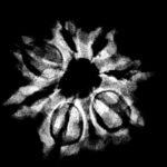 7 Mukhi Nepal Rudraksha (22.32 Mm) 9 7 Mukhi Nepal Rudraksha (22.32 Mm)