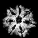 7 Mukhi Nepal Rudraksha (22.40 Mm) 9 7 Mukhi Nepal Rudraksha (22.40 Mm)