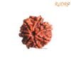 7 Mukhi Nepal Rudraksha (22.45 Mm) 13 7-Mukhi-Nepal-Rudraksha-22.45-Mm-Fp-C.jpg