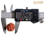 7-Mukhi-Nepal-Rudraksha-22.45-Mm-Op-C.jpg