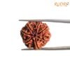 7 Mukhi Nepal Rudraksha (22.88 Mm) 14 7-Mukhi-Nepal-Rudraksha-22.88-Mm-Bp-C.jpg