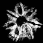 7 Mukhi Nepal Rudraksha (22.92 Mm) 9 7 Mukhi Nepal Rudraksha (22.92 Mm)X-Ray