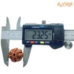 7-Mukhi-Nepal-Rudraksha-23.25-Mm-Op-C.jpg