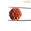 7 Mukhi Nepal Rudraksha (23.35 Mm) 14 7-Mukhi-Nepal-Rudraksha-23.35-Mm-Fp-C.jpg