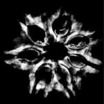 7 Mukhi Nepal Rudraksha (23.98 Mm) 9 7 Mukhi Nepal Rudraksha (23.98 Mm) X-Ray