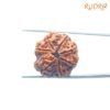 7 Mukhi Nepal Rudraksha (24.12 Mm) 14 7-Mukhi-Nepal-Rudraksha-24.12-Mm-Bp-C.jpg