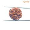 7 Mukhi Nepal Rudraksha (24.70 Mm) 14 7-Mukhi-Nepal-Rudraksha-24.70-Mm-Bp-C.jpg