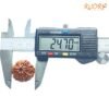 7 Mukhi Nepal Rudraksha (24.70 Mm) 15 7-Mukhi-Nepal-Rudraksha-24.70-Mm-Op-C.jpg