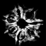 7 Mukhi Nepal Rudraksha (24.70 Mm) X-Ray
