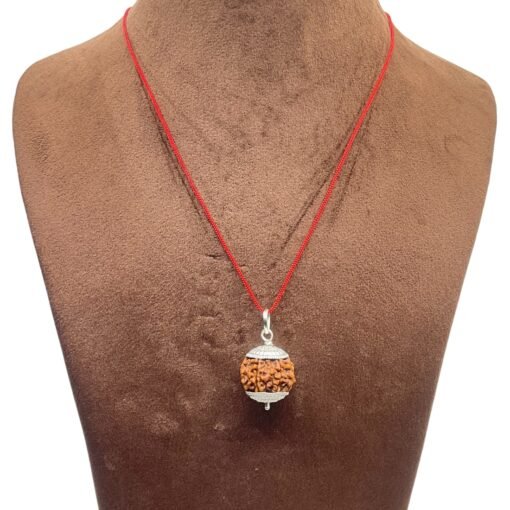 7-Face-Rudraksha-Nepal-Silver-Capped-20.45-Mm-Mp-C.jpg