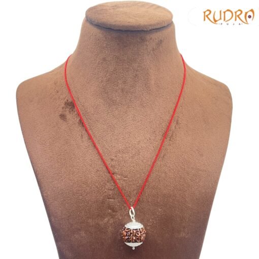 7-Face-Rudraksha-Nepal-Silver-Capped-21.90-Mm-Rp-C.jpg