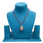 Collector 7 Mukhi Silver Capped Rudraksha Nepal - ( 23.15 MM )