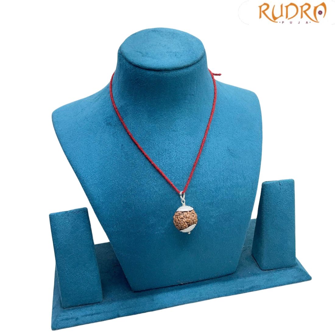 Collector 7 Mukhi Silver Capped Rudraksha Nepal - ( 23.15 MM )