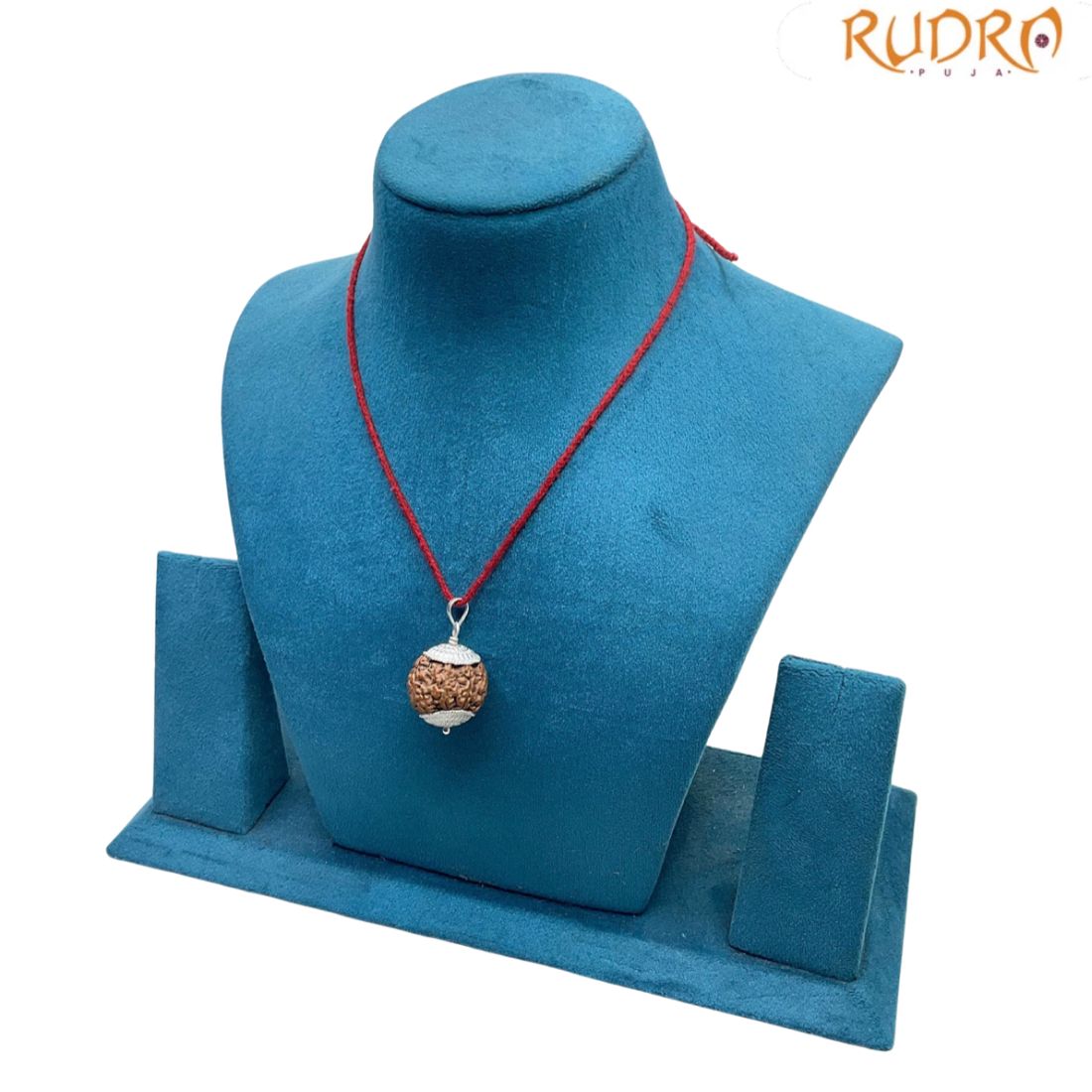 Collector 7 Mukhi Silver Capped Rudraksha Nepal - ( 23.15 MM )