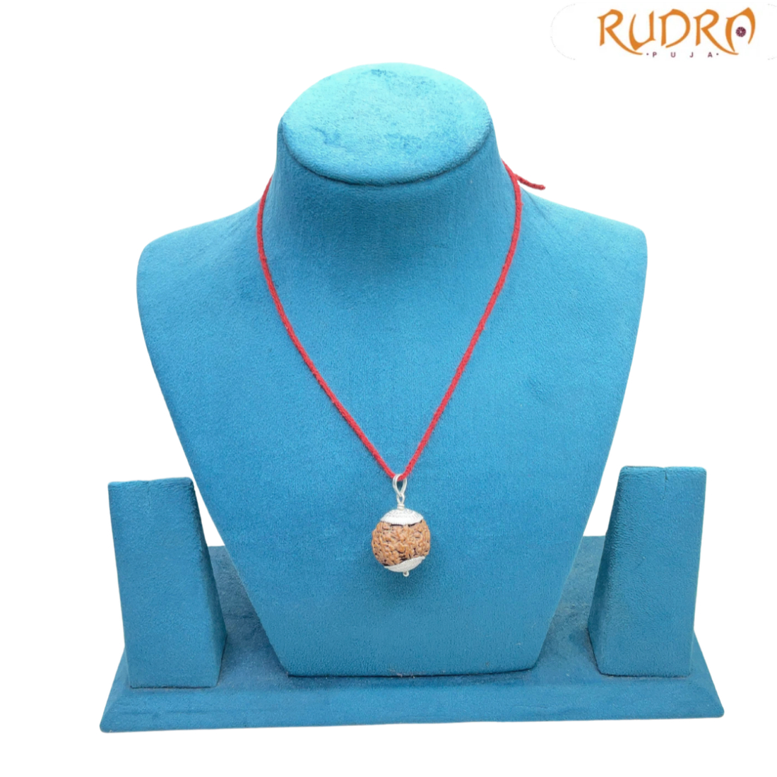 Collector 7 Mukhi Silver Capped Rudraksha Nepal - ( 23.15 MM )