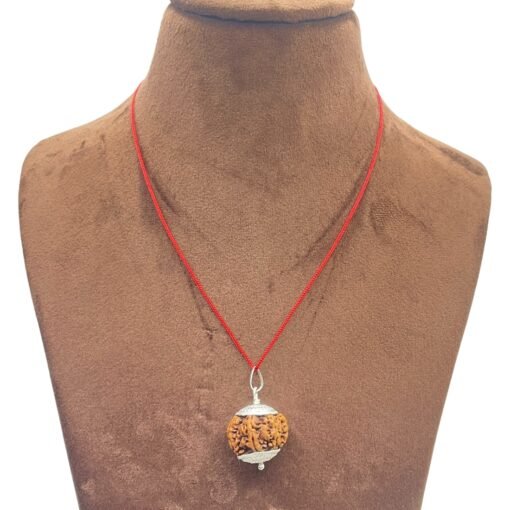 Collector-7-Mukhi-Silver-Capped-Rudraksha-Nepal-22.90-Mm-Mp-C.jpg