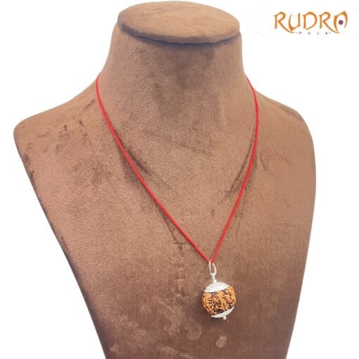 Collector-7-Mukhi-Silver-Capped-Rudraksha-Nepal-22.90-Mm-Rp-C.jpg