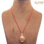 Collector-7-Mukhi-Silver-Capped-Rudraksha-Nepal-23.05Mm-Fp-C.jpg