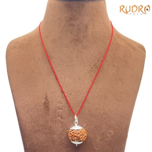 Collector-7-Mukhi-Silver-Capped-Rudraksha-Nepal-23.05Mm-Fp-C.jpg